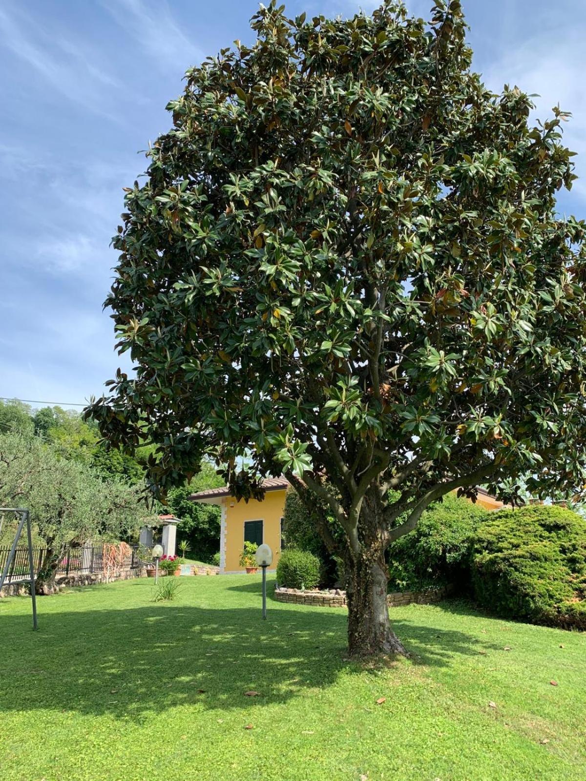 Poli Villa'S Apartment Bardolino Exterior photo
